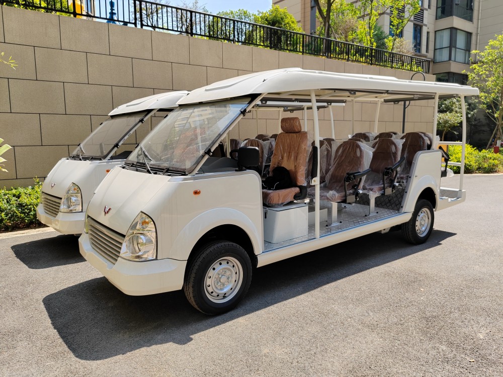 燃油观光车