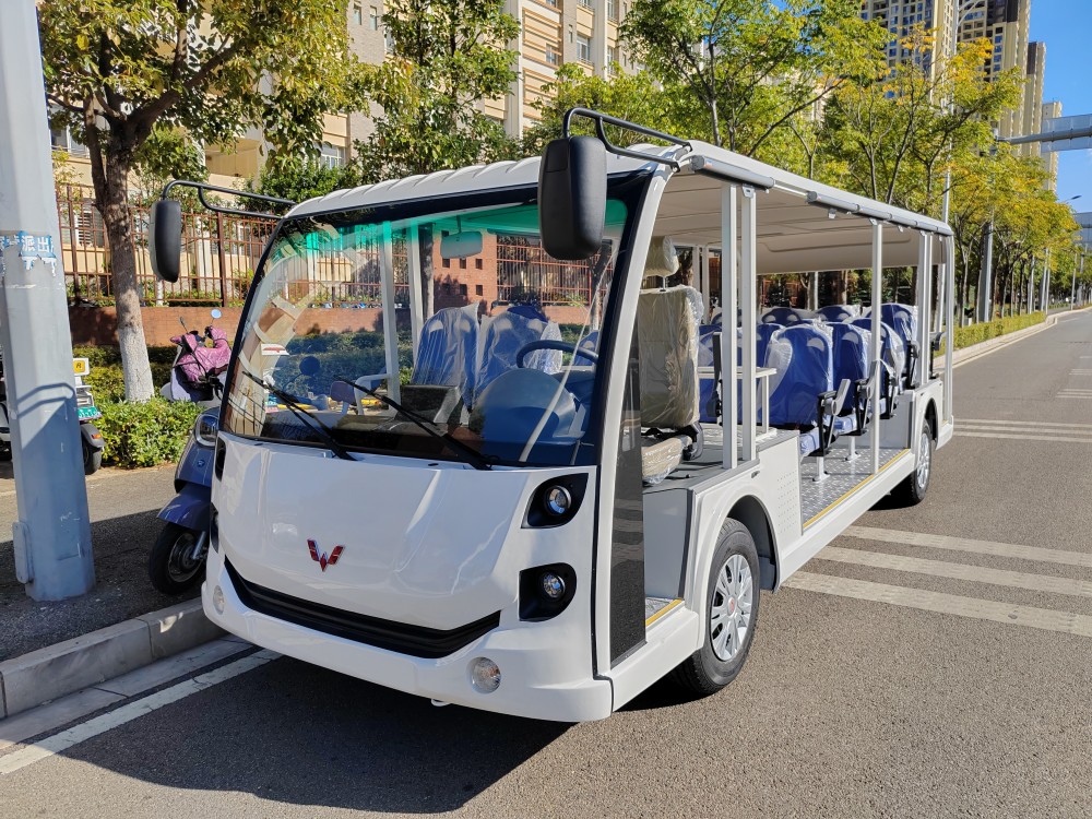 燃油观光车 燃油观光车